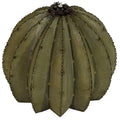 Golden Barrel Cactus Torch W7329
