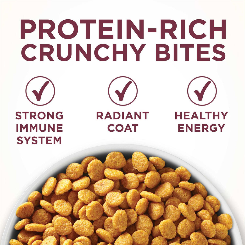 Dry Cat Food R24357