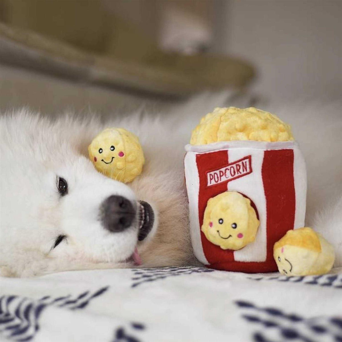 Popcorn Bucket Dog Toy B649