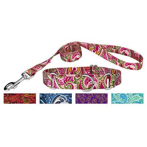 Martingale Dog Collar J771