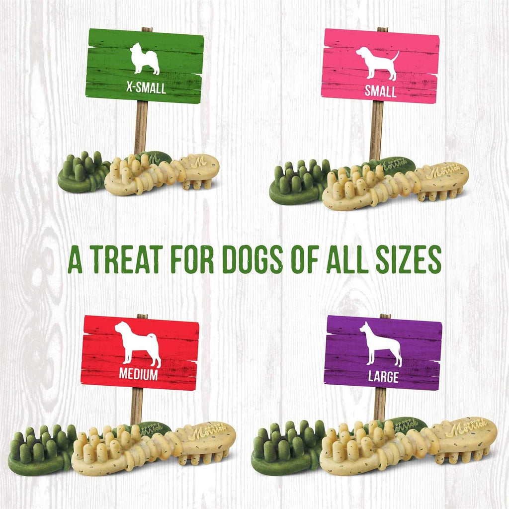 Fresh Kisses Pumpkin Cinnamon Dog Treats D85760