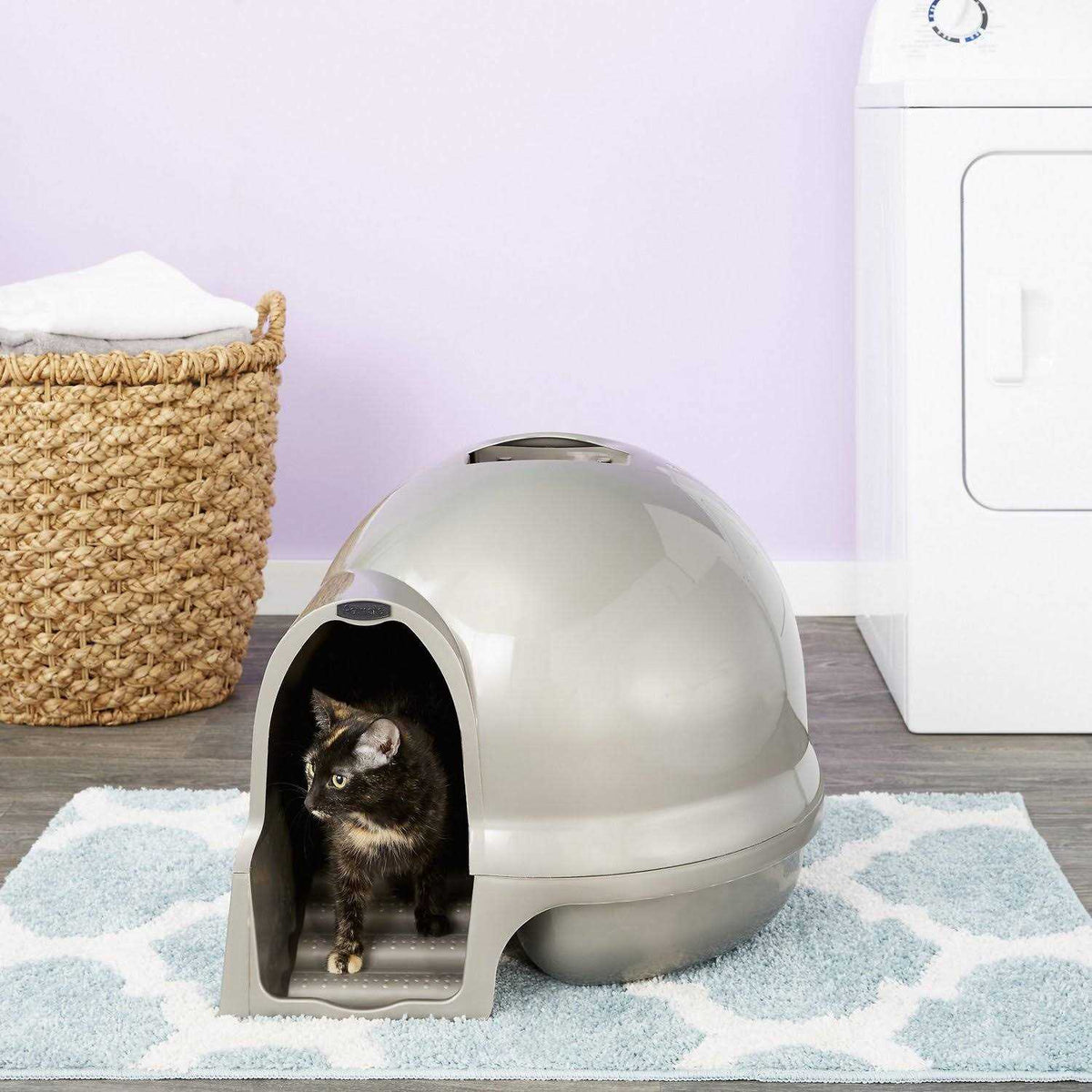 Litter Box Y836