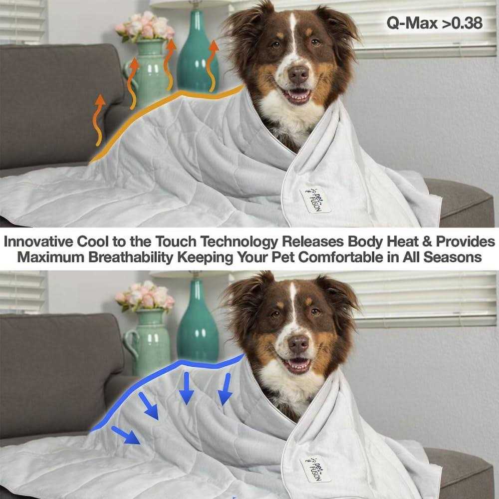 Lightweight Cat and Dog Cooling Blanket A168