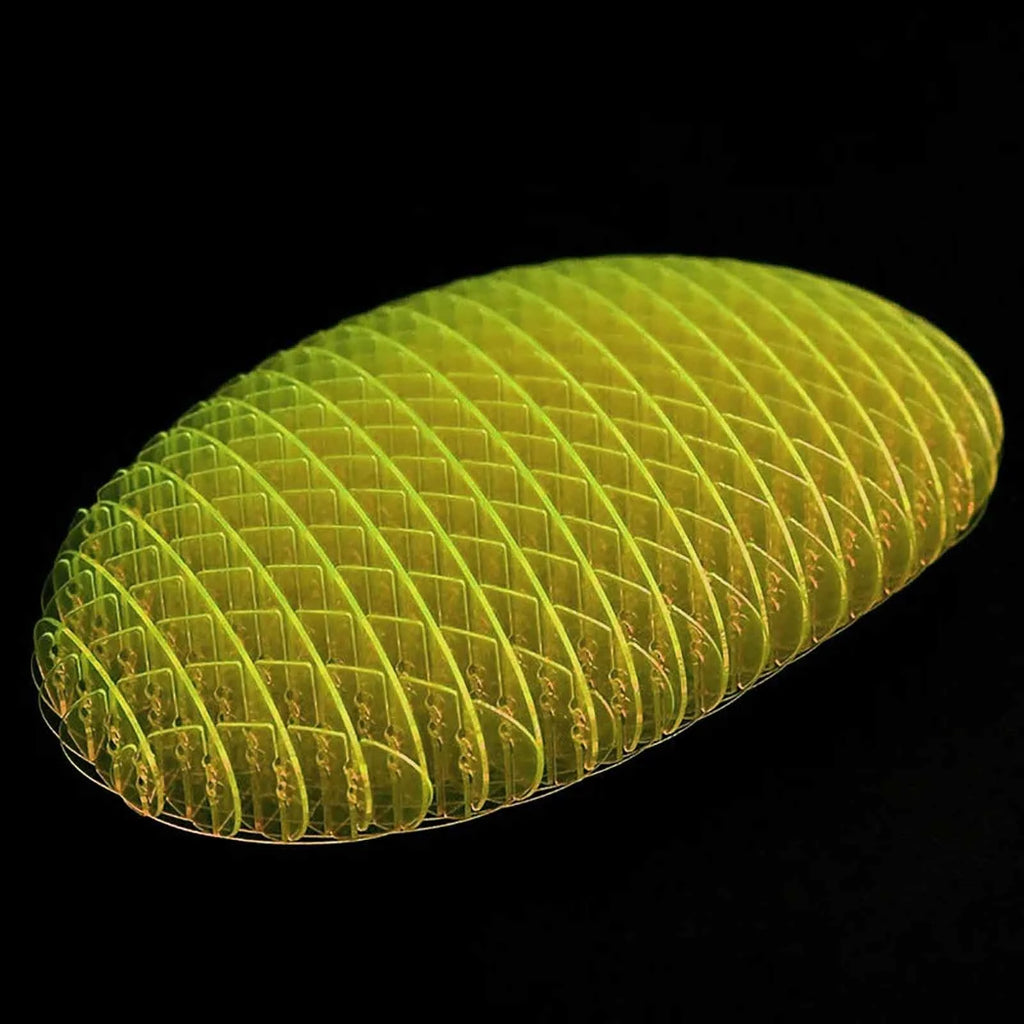 Worm Fidgeting Toy K78831