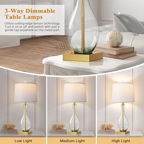 Touch Control 3-Way Dimmable Glass Table Lamps Set of 2 with USB C and A Charging Ports Y29070