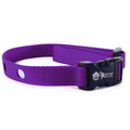 Dog Collar Replacement Strap W160