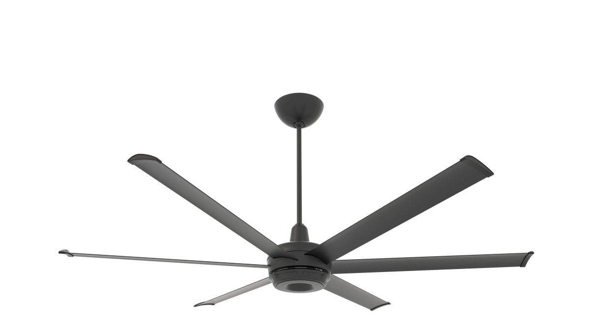Black Ceiling Fan L56711