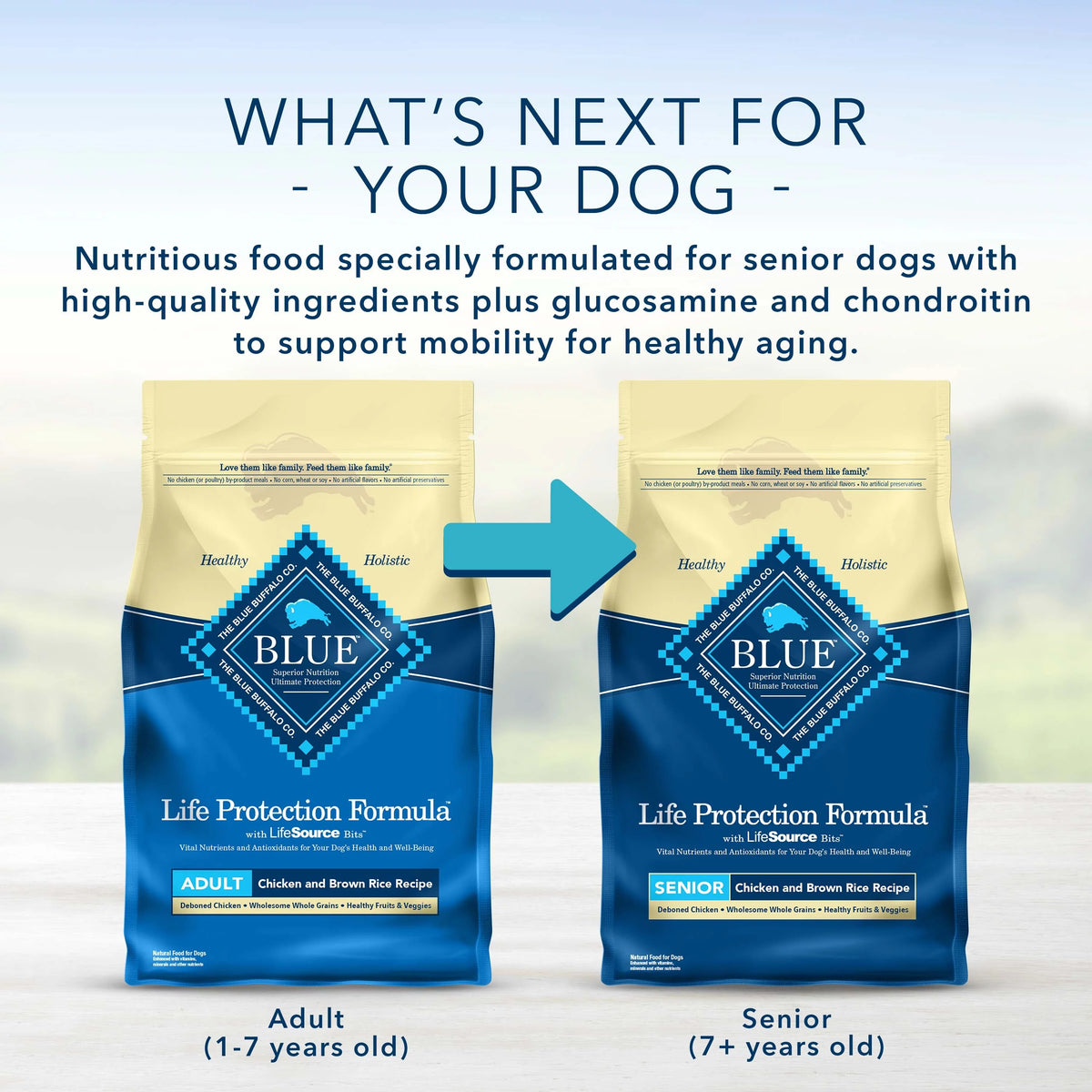 Chicken and Brown Rice Dry Dog Food 15 lb. Bag D844280