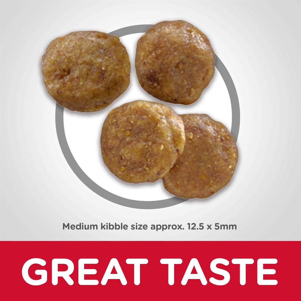 Grain Free Chicken Potato Recipe Adult Dry Dog Food V631