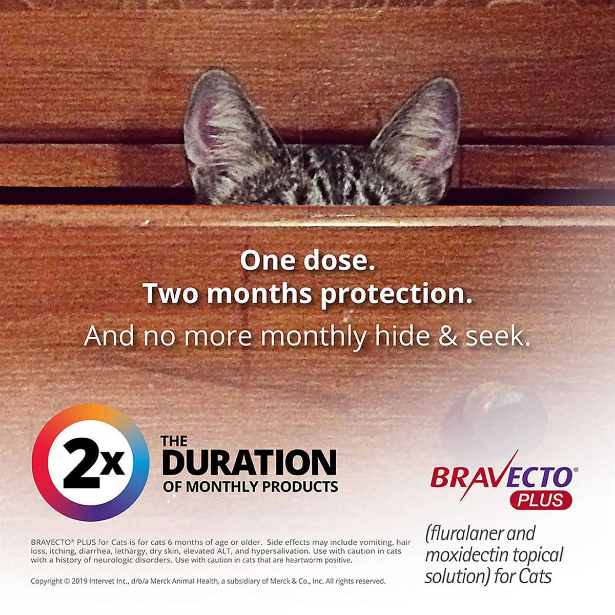 Topical Solution for Cats T66129