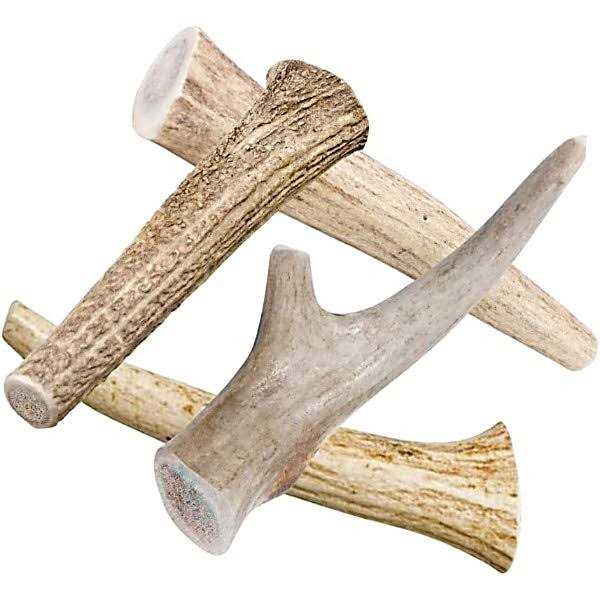 All Natural Whole Deer Antler Dog Chew Treats E521404