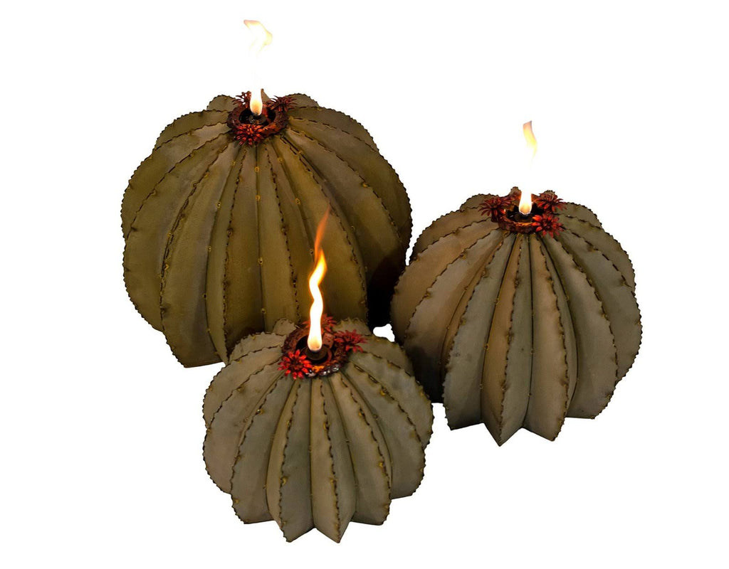 Golden Barrel Cactus Torch W7329