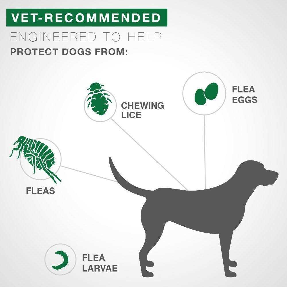 Advantage II for Dogs M54760