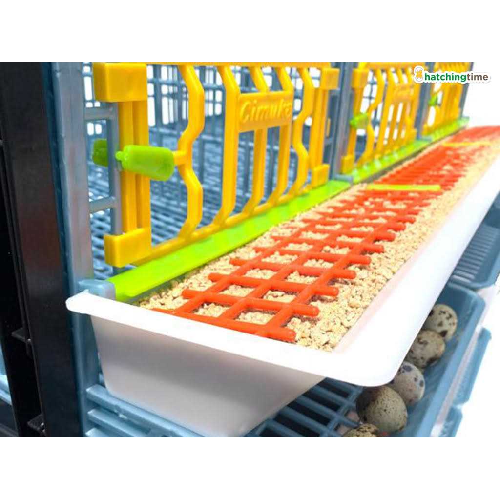 Partridge Cage 1 Layer Z2483