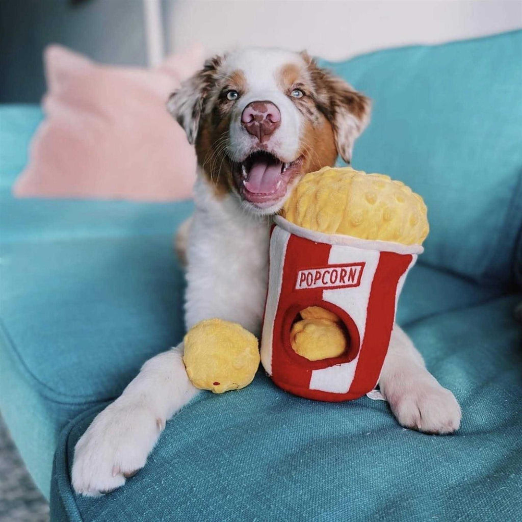 Popcorn Bucket Dog Toy B649