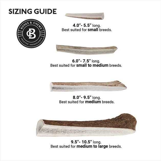 Elk Antler Split Dog Chew T1979