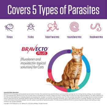 Topical Solution for Cats T66129