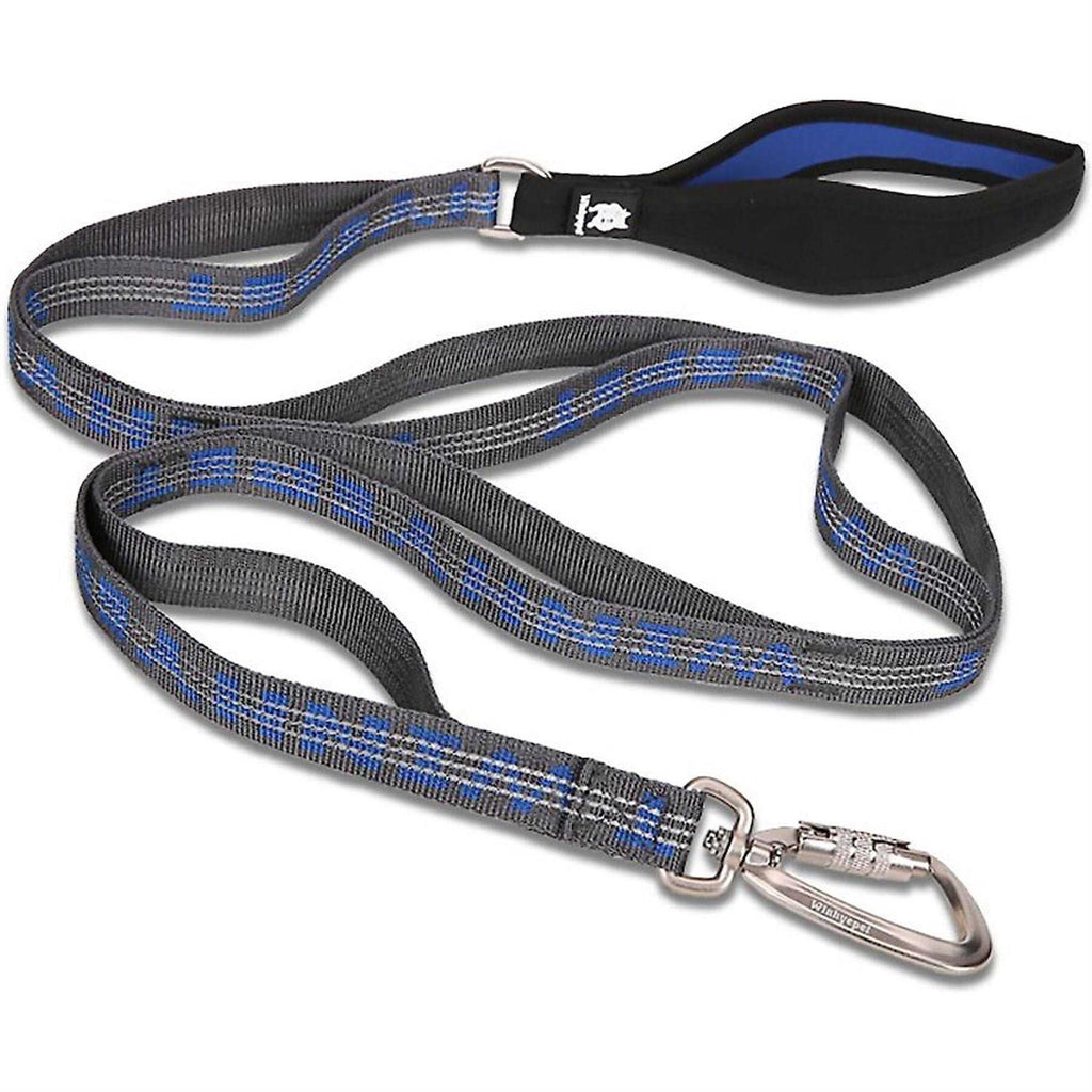 Heavy Duty Dog Leash I914144