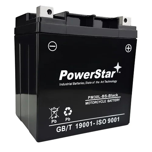 YTX30L-BS Battery I300596