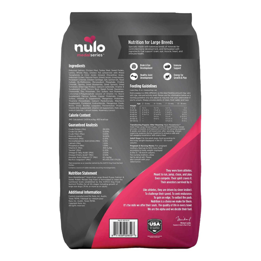 Salmon Large Breed Puppy Dry Dog Food N89775