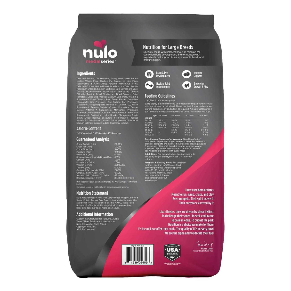 Salmon Large Breed Puppy Dry Dog Food N89775