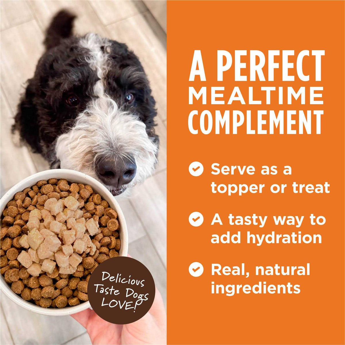Grain-Free Wet Dog Food Topper S312283
